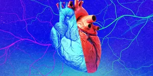 Genç organlar alıcılar için gençlik pınarı olmayabilir