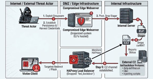 Yeni Ted Arka Kapısı, Kurbanların HAProxy Sistemlerine Gizlenerek Web Trafiğini Ele Geçiriyor