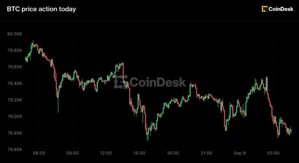 Bitcoin 79.000 Doların Altına Geriledi, Zcash Kayıplara Öncülük Ediyor
