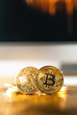 Crypto for Advisors: Bitcoin'i kendi başına tutmanın gizli maliyetleri