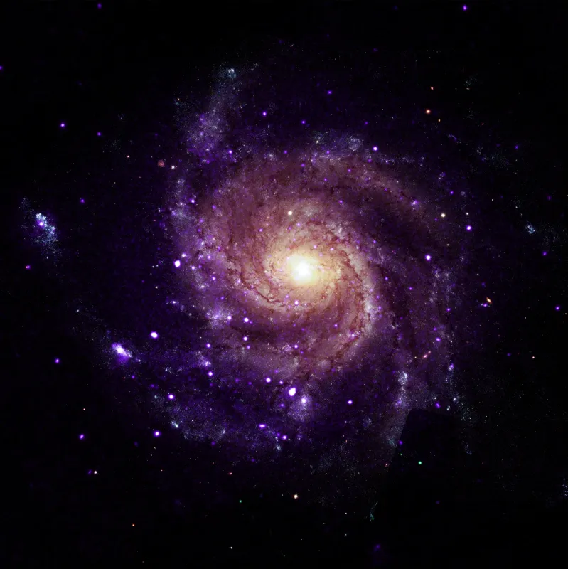 NASA'nın Chandra'sı Pinwheel Galaksisi'nde olağandışı nesneler buldu