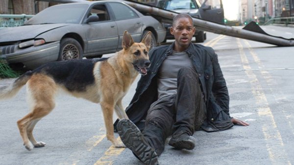 I Am Legend 2 yazarı filmi yapmak için elinden geleni yapıyor ama bir dizi engelle karşı karşıya