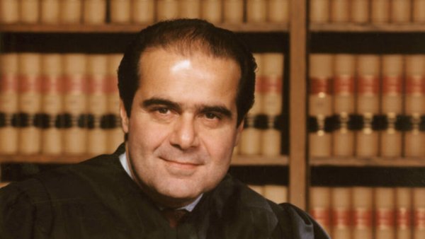 Trump'ın gizli planı nesli tükenmekte olan türler yasasını zayıflatmak için 1995 Scalia muhalefetinden yararlanıyor