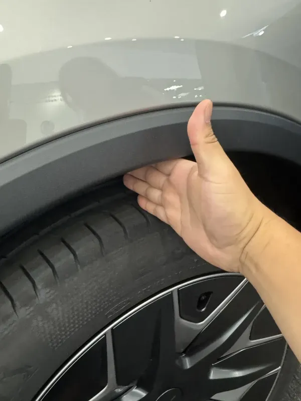 Model Y L Parmak Testi