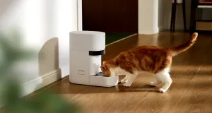Petlibro'nun yeni yapay zekâ destekli mama dağıtıcıları çoklu kedi evleri için dönüm noktası
