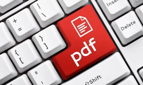 B2B ödemelerinin bir sonraki miras formatı PDF