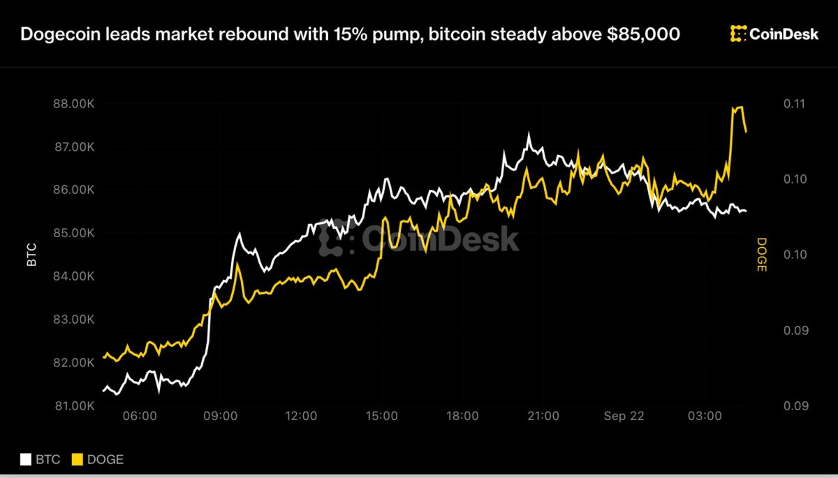 Dogecoin piyasa toparlanmasına 15% yükselişle liderlik ediyor, bitcoin 85.000 doların üzerinde istikrarlı