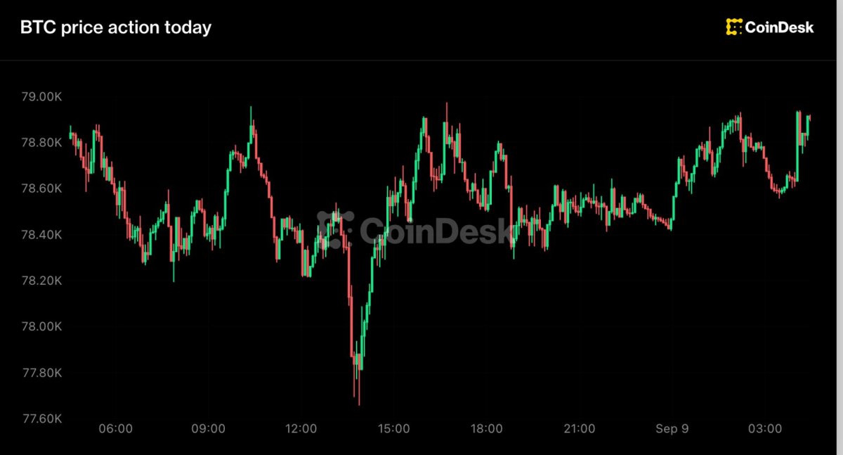 Bitcoin 79.000 Dolara Toparlanırken Zcash 500 Milyon Dolarlık ETF Geliri Elde Etti