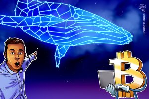 Bitcoin'de yeni balinalar 9 milyar dolarlık gerçekleşmemiş kârla satış baskısı yaratıyor