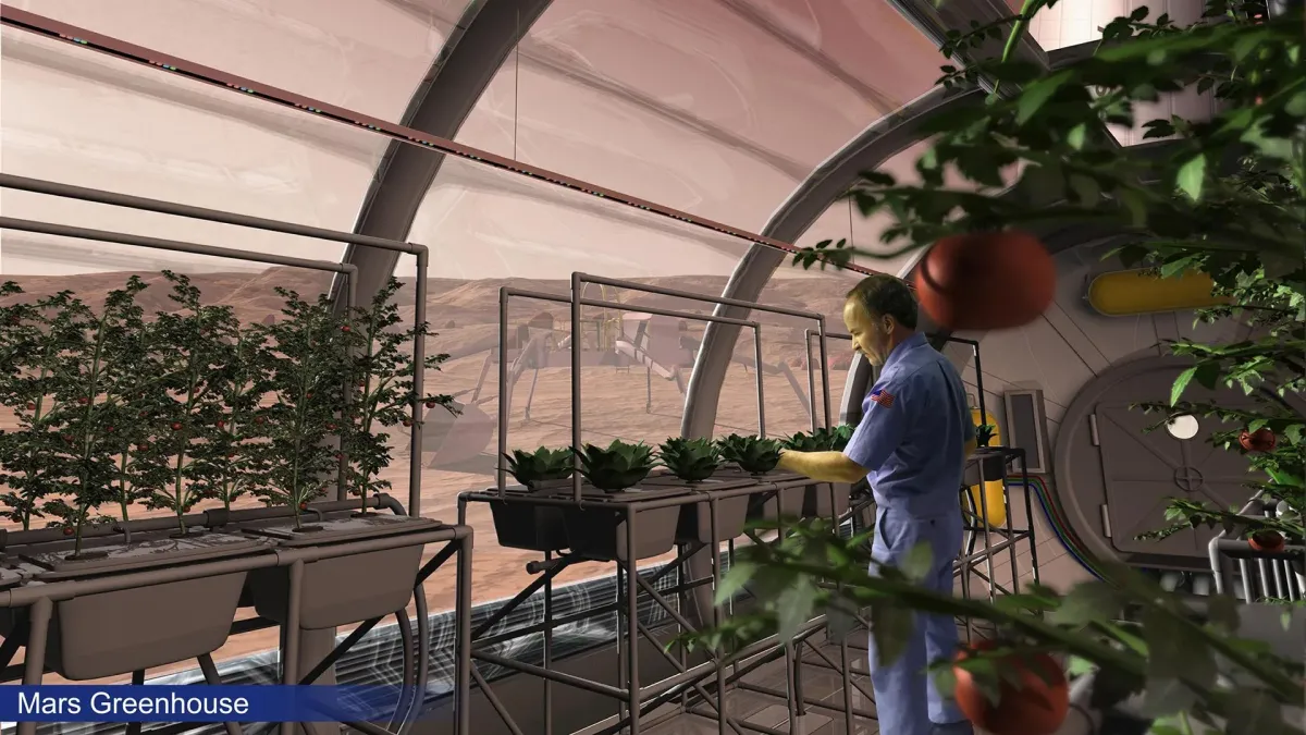 Mars'ta yiyecek yetiştirmenin sırrı mantarlar olabilir