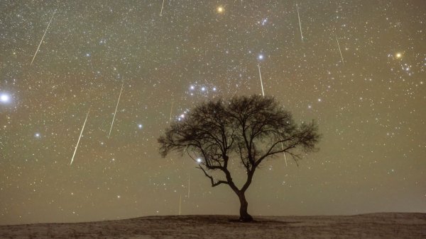 Orionid meteor yağmuru için uyanık kalmayacağım — meteor yağmurunu izlememek için ne zaman