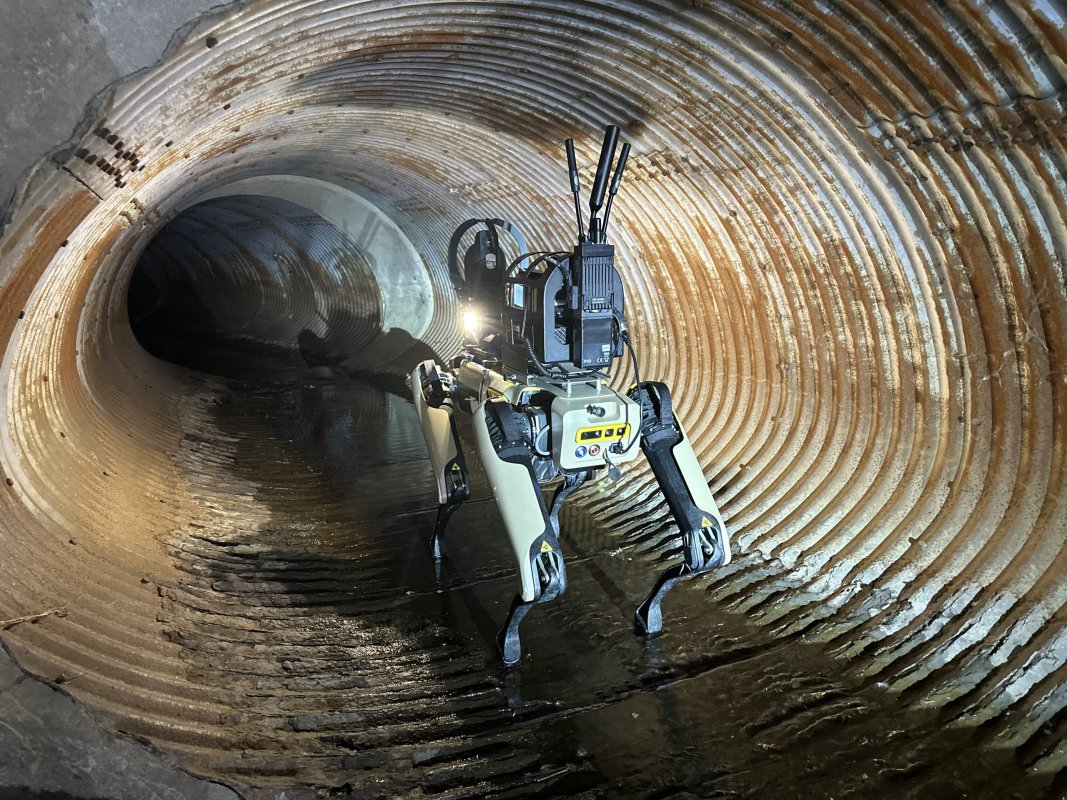 Boston Dynamics çalışanları robot köpek satışını ICE’ye durdurmak için dilekçe verdi