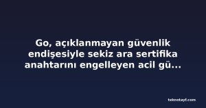 Go, açıklanmayan güvenlik endişesiyle sekiz ara sertifika anahtarını engelleyen acil güncelleme yayınladı