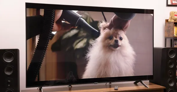 LG RGB LED TV'si bazı durumlarda yeterli, OLED daha iyi
