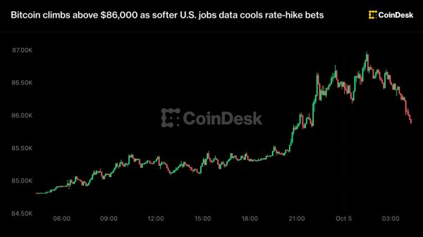 Bitcoin 87 bin dolara yaklaşarak sekiz ayın zirvesine göz kırptı, ardından geri çekildi