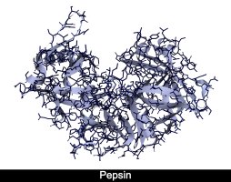 Araştırmacılar yapay zekayla diğer proteinleri parçalayan proteinler tasarladı