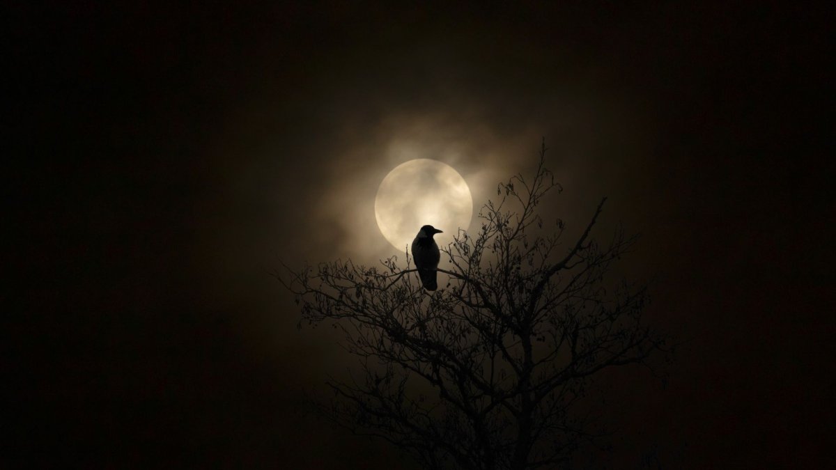 Halloween gecesi gökyüzü 2026 — Satürn, göktaşı yağmuru ve uzay istasyonu ABD'li gözlemcileri bekliyor